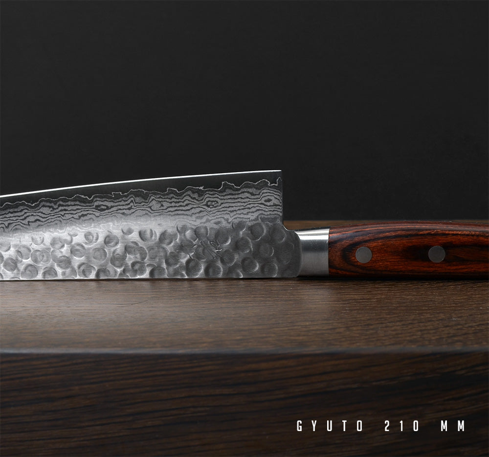 Ohishi VG-10