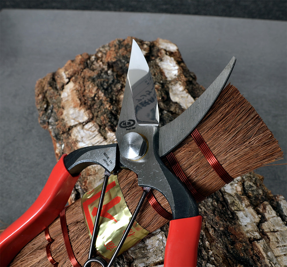 Secateurs