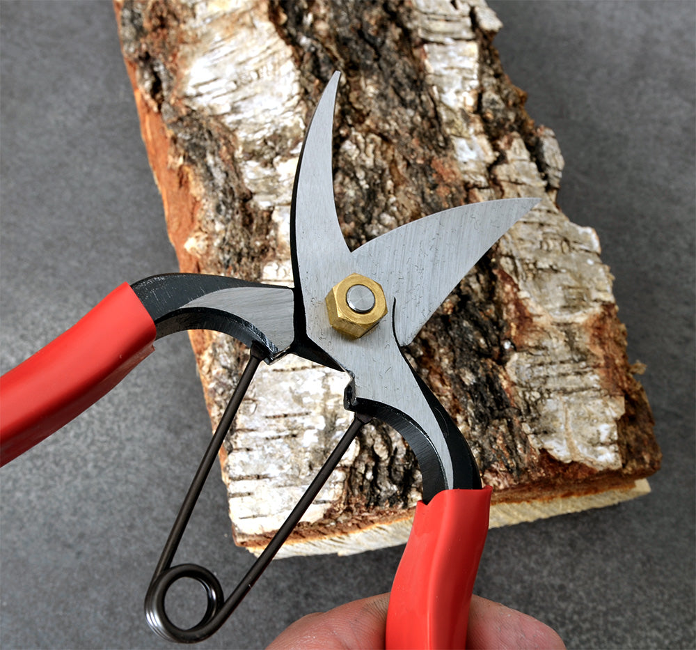 Secateurs
